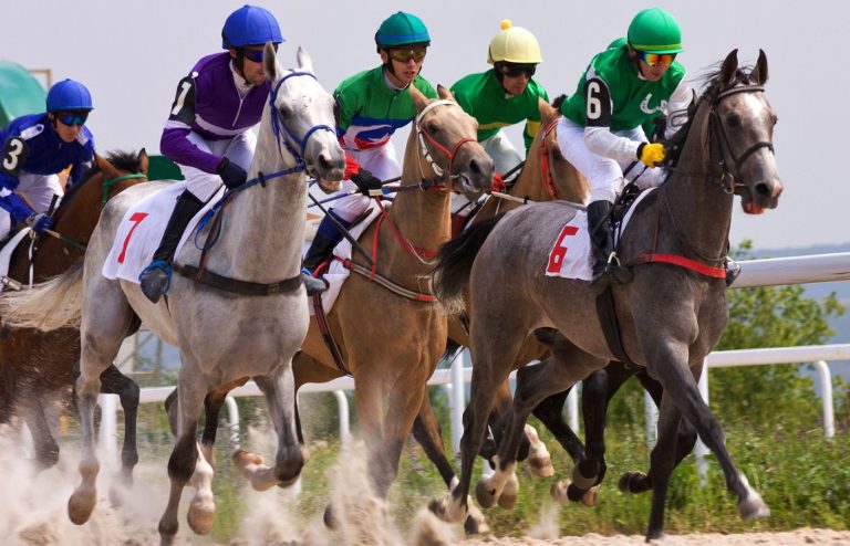 今日賽馬貼士點睇？跑馬心水、賠率同臨場分析重點