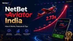 NetBet Aviator India: How to Play, Features & Game Guide 2026